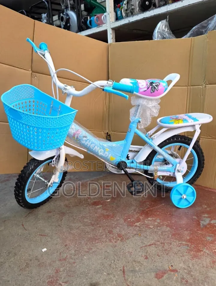 *Rb24900 Shengdi Bicycle Size 12*