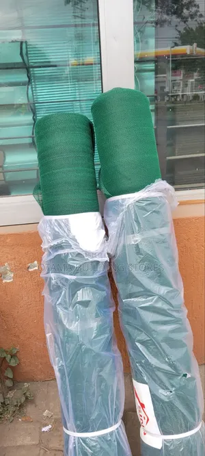 Scaffolding Safety Net