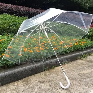 Transparent Umbrellas