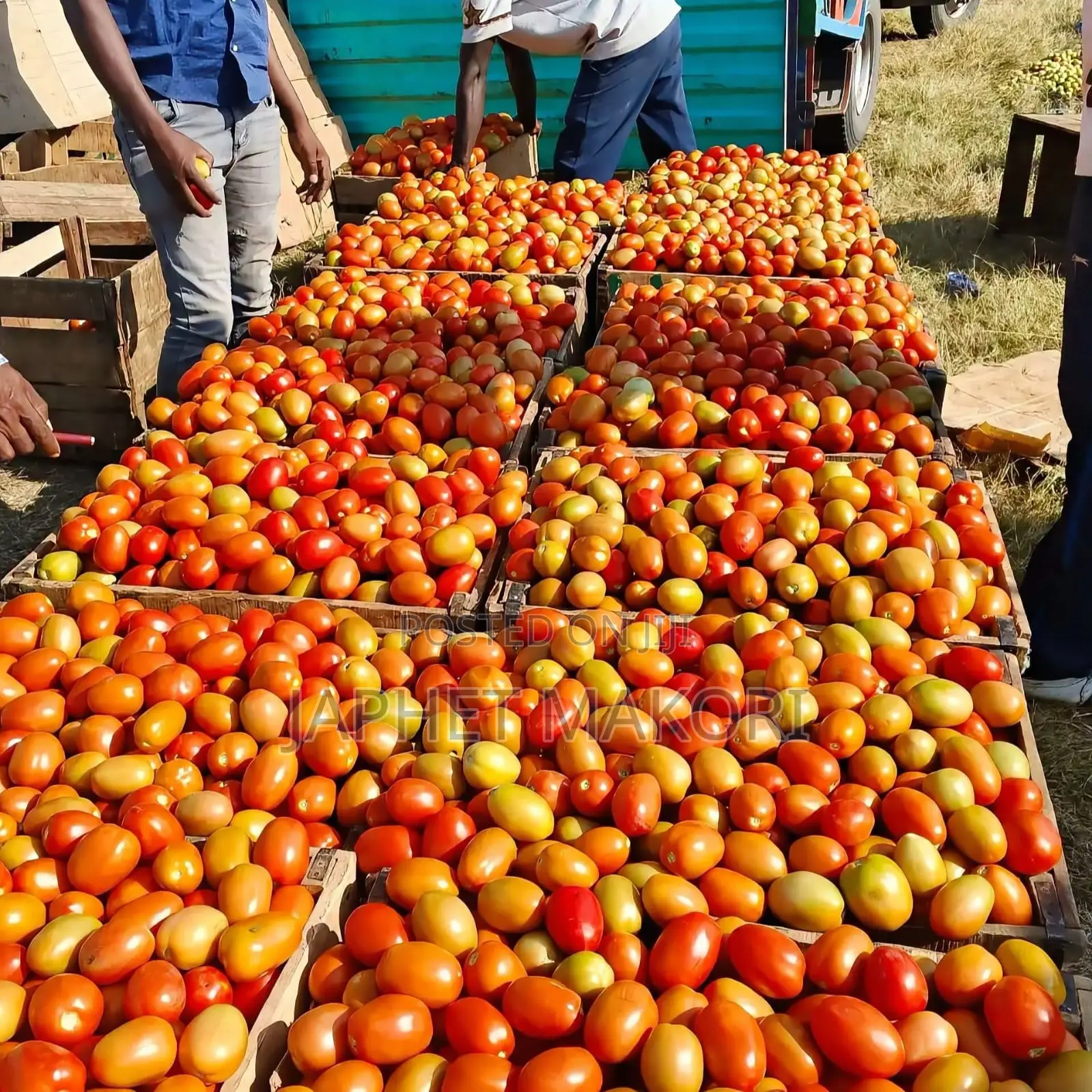 Kitengela Royal Farm