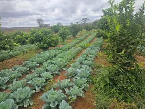 Plots for Sale in Kajiado