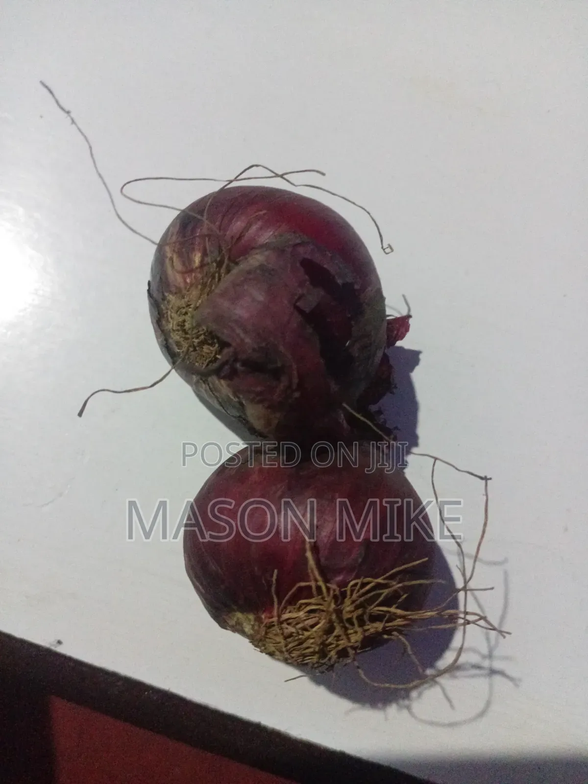 Fresh Grosery Available