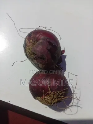 Fresh Grosery Available