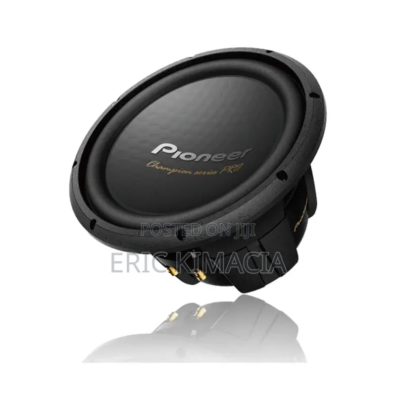 Pioneer TS-W3004D4