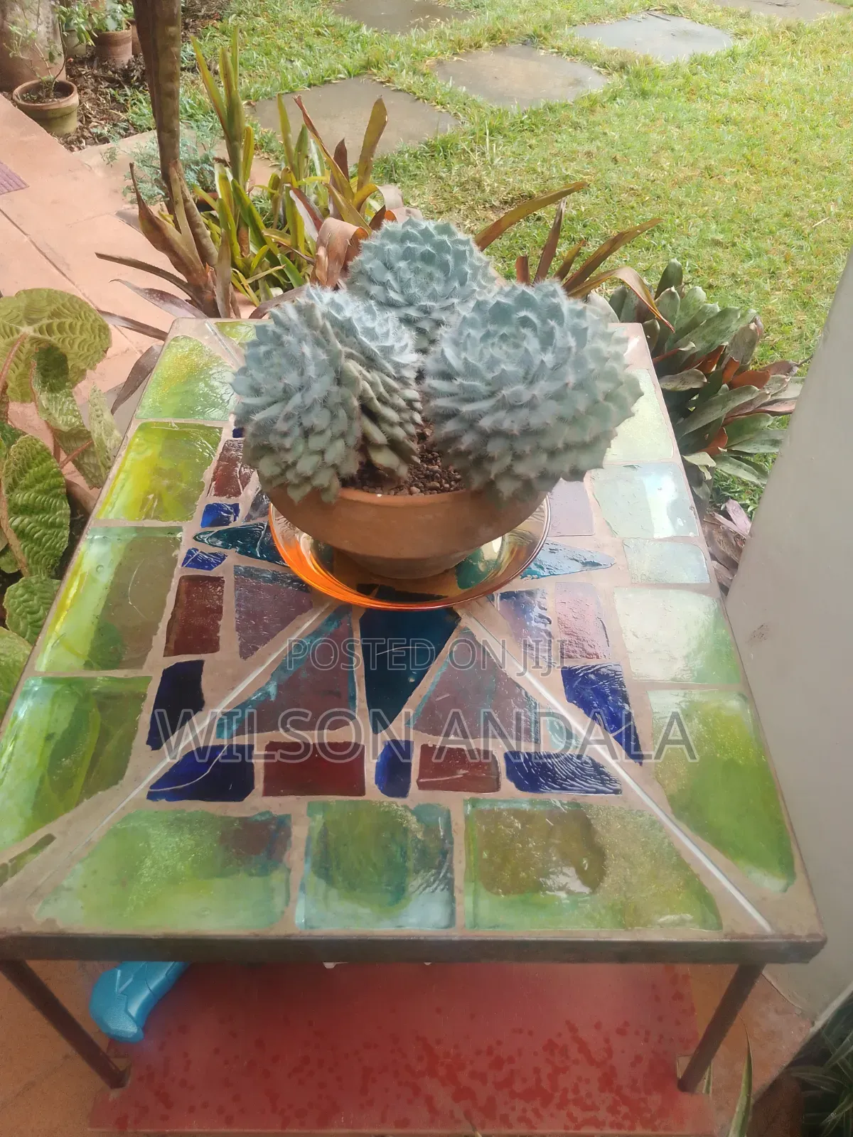 Gardening Landscaping