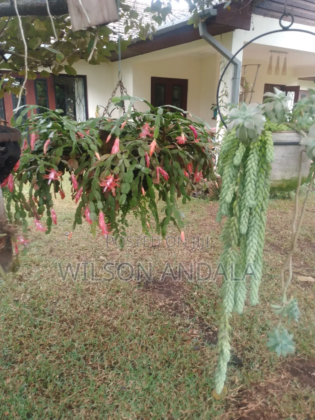 Gardening Landscaping
