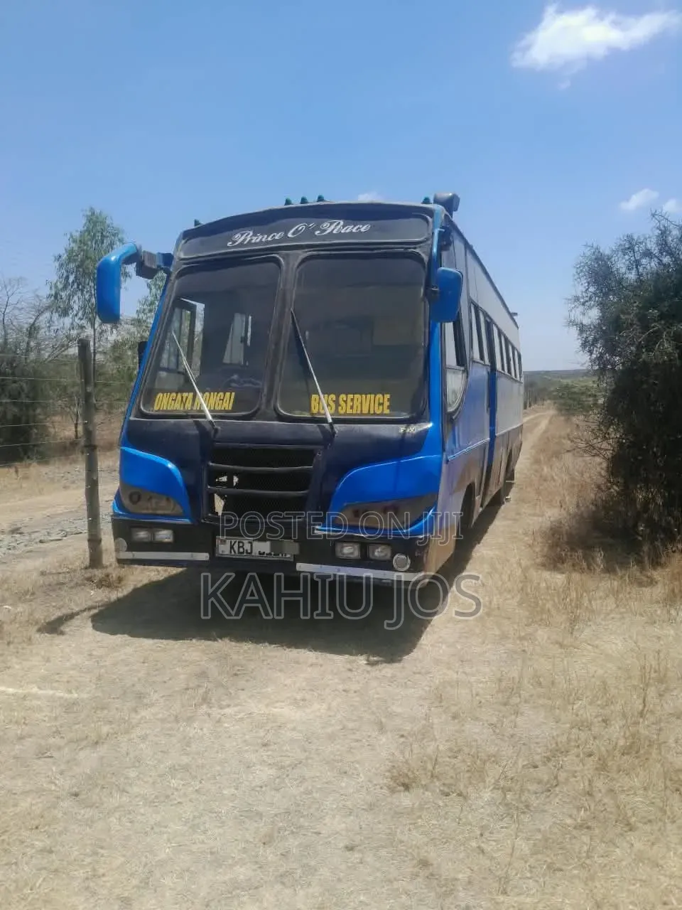 Isuzu FRR 2010 Blue
