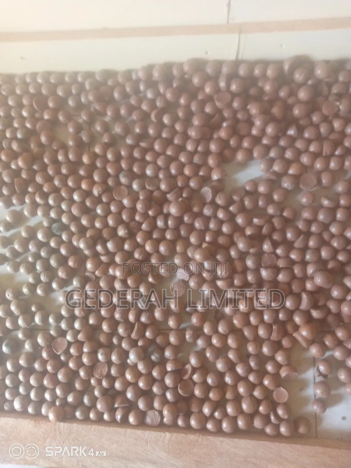 Macadamia Nuts