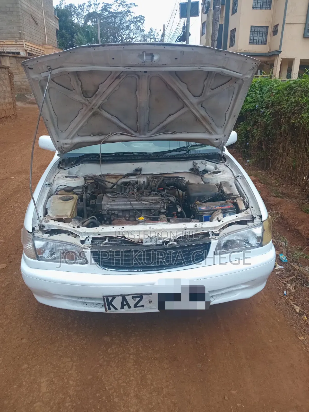 Toyota Corolla 2000 White