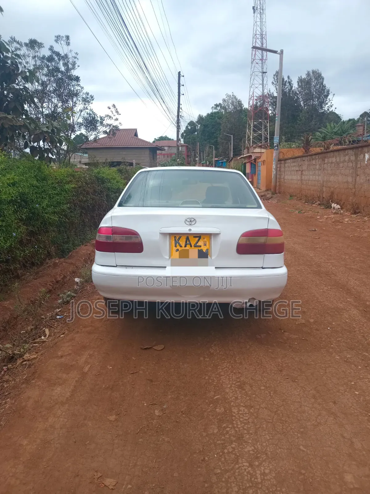 Toyota Corolla 2000 White