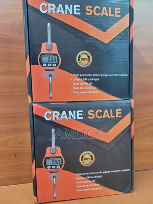 300KG Digital Crane Scale - RN
