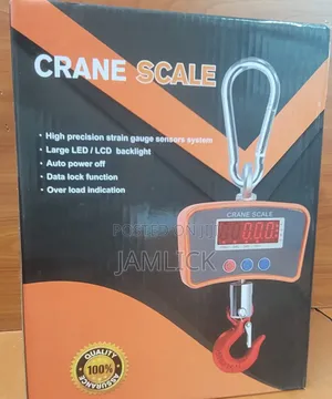500KG High Precision Strain Crane Scale | Heavy-Duty Weighing - RN
