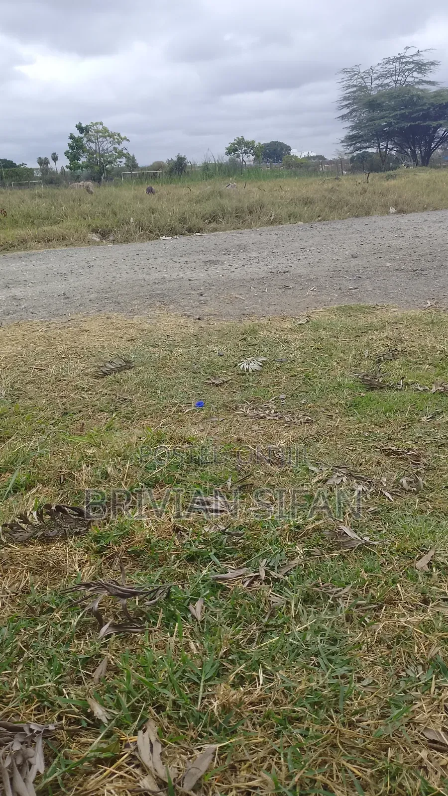 Plot for Sale in Bungoma