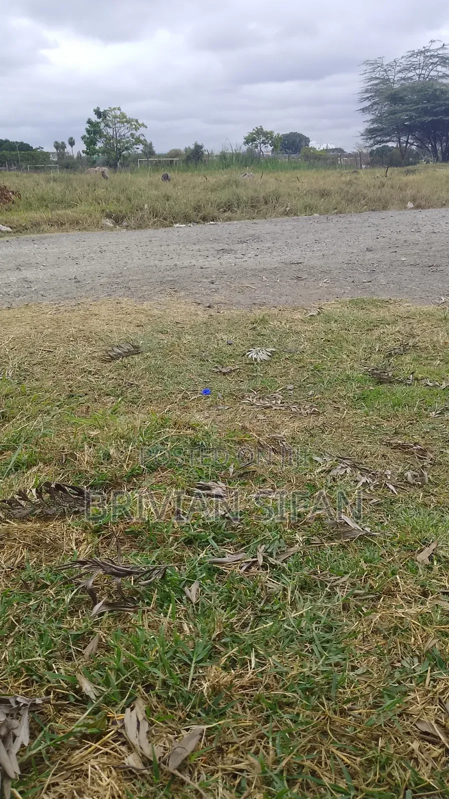 Plot for Sale in Bungoma