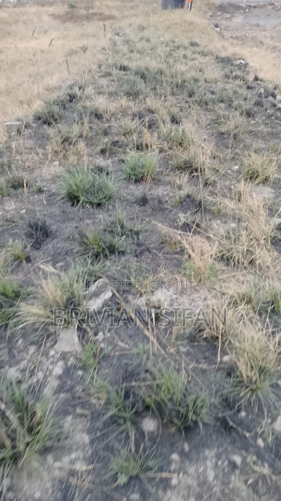 Plot for Sale in Bungoma