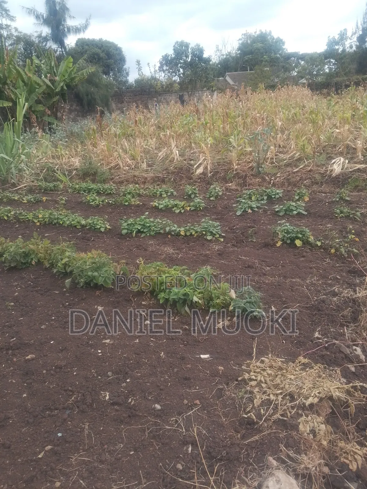 Land on Sale Full Acre