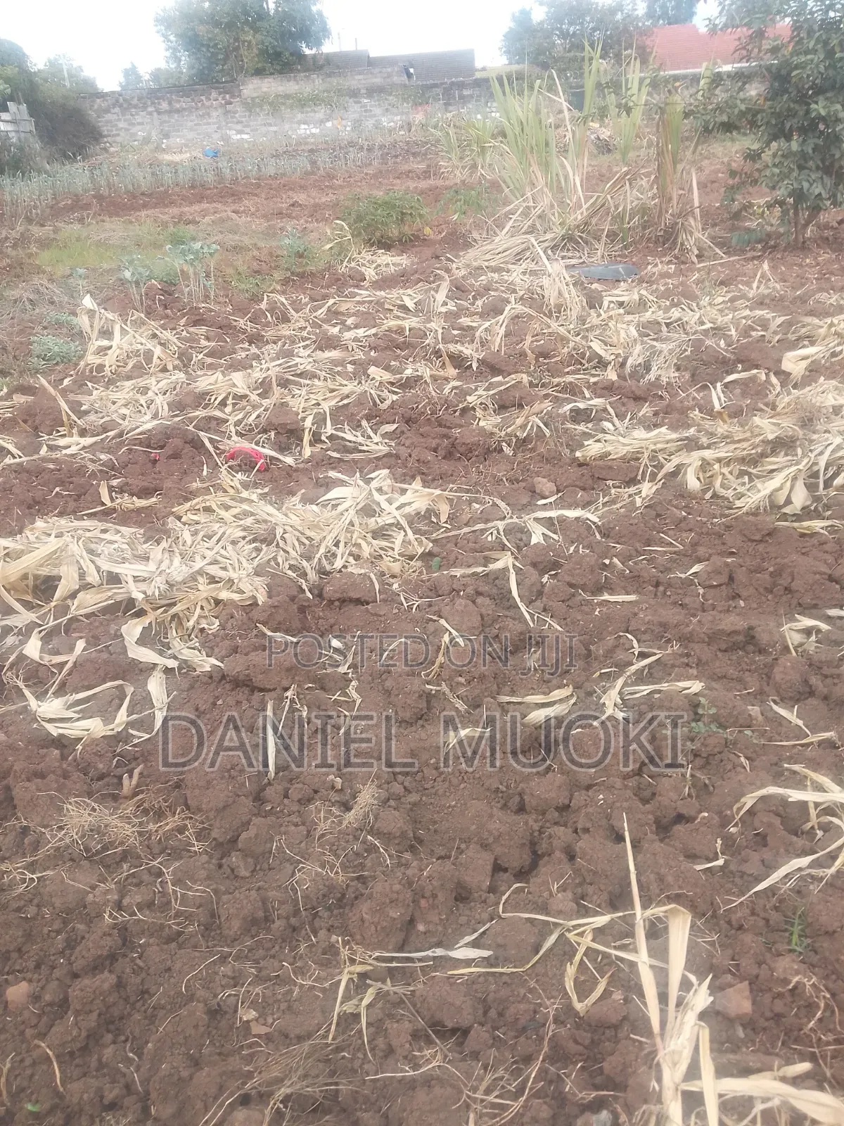 Land on Sale Full Acre