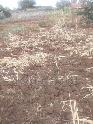 Land on Sale Full Acre