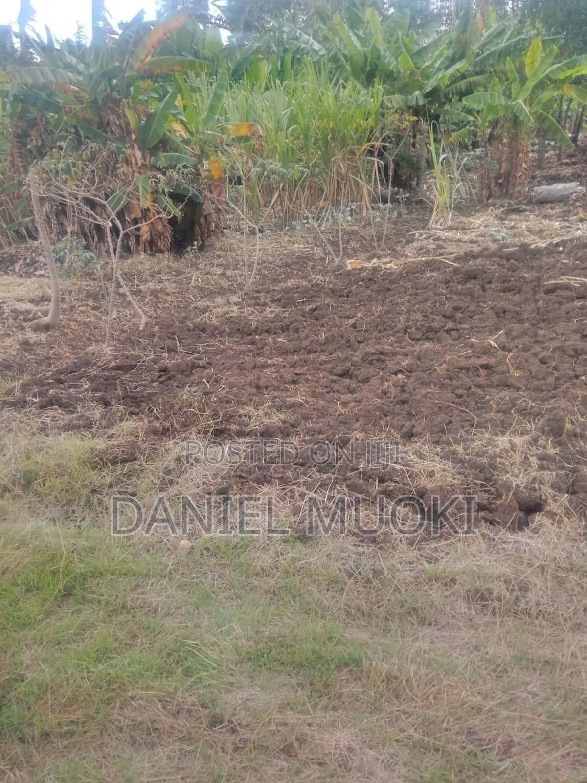 Land on Sale Full Acre