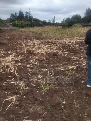 Land on Sale Full Acre