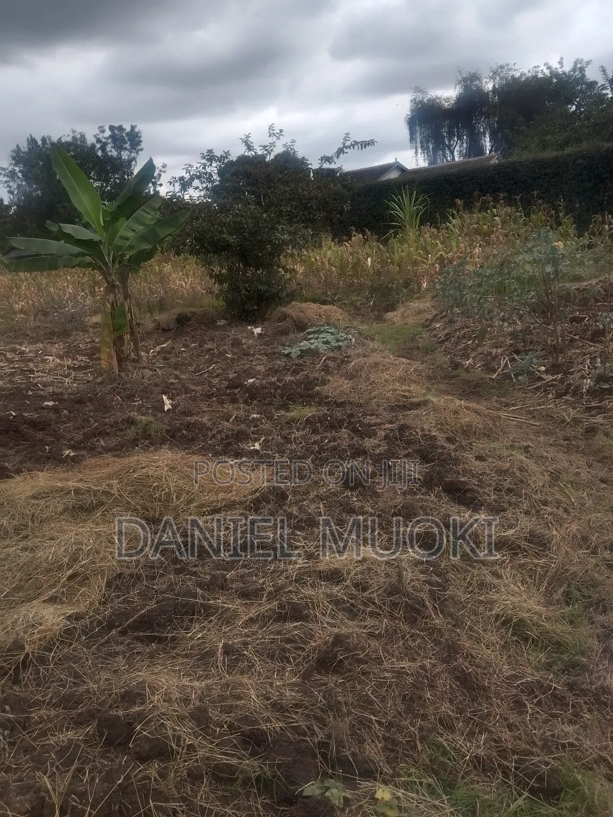 Land on Sale Full Acre
