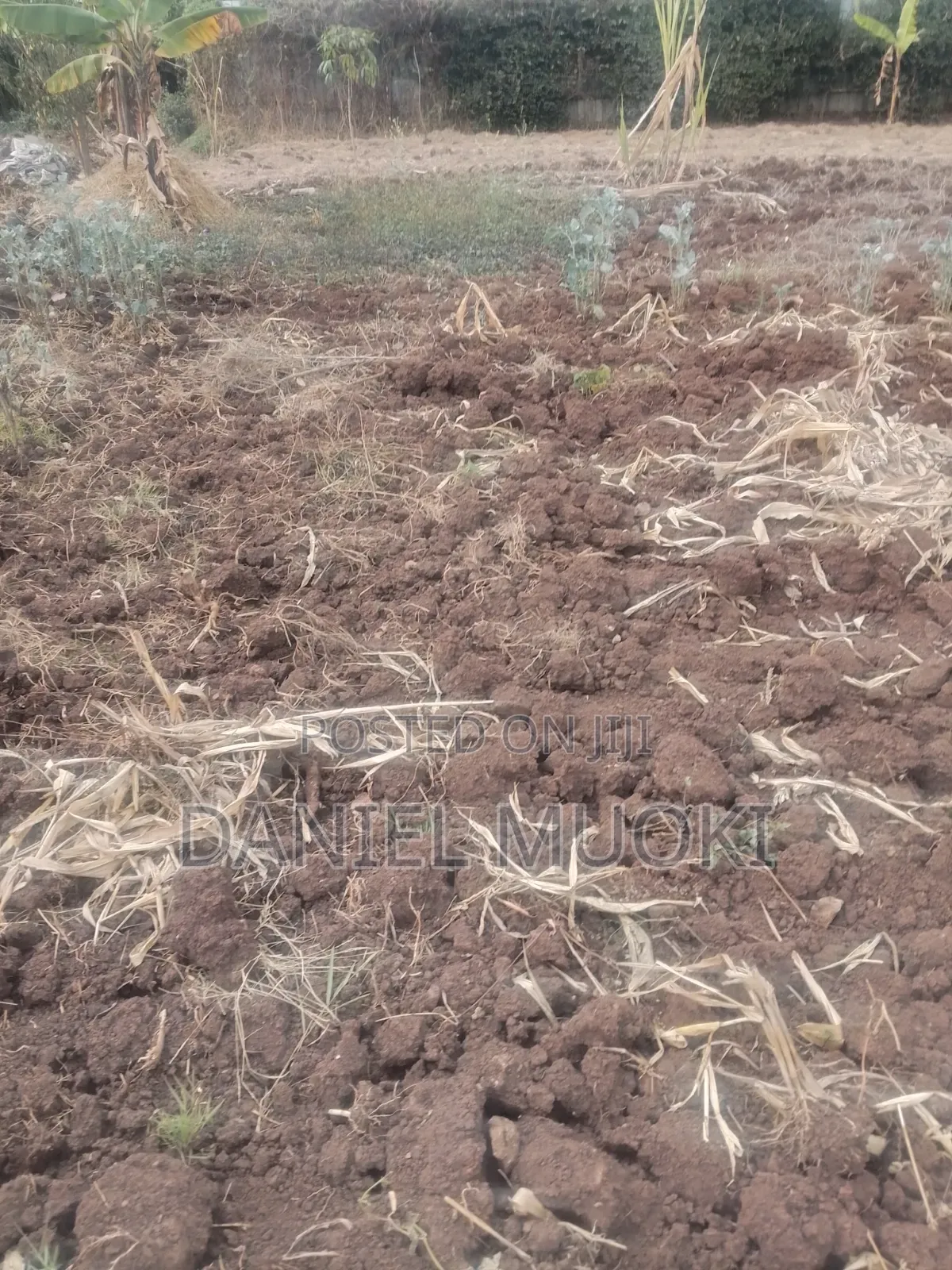 Land on Sale Full Acre