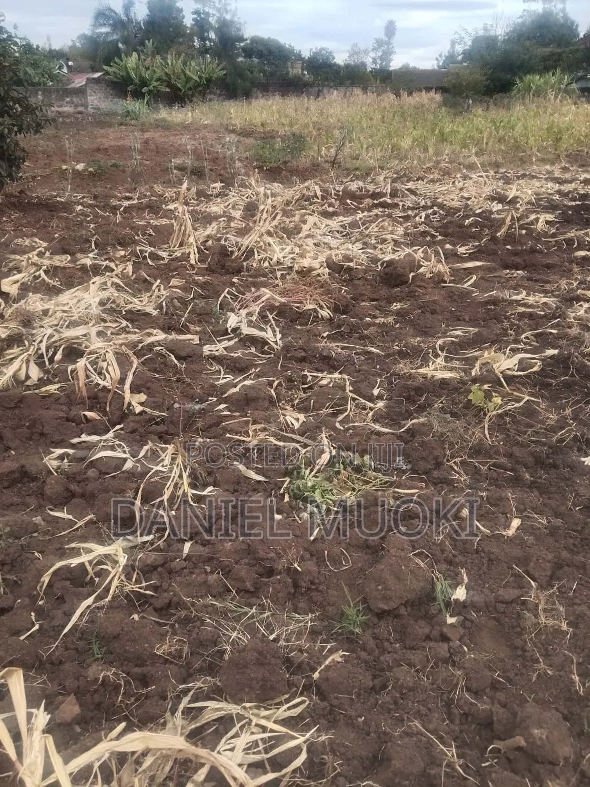 Land on Sale Full Acre