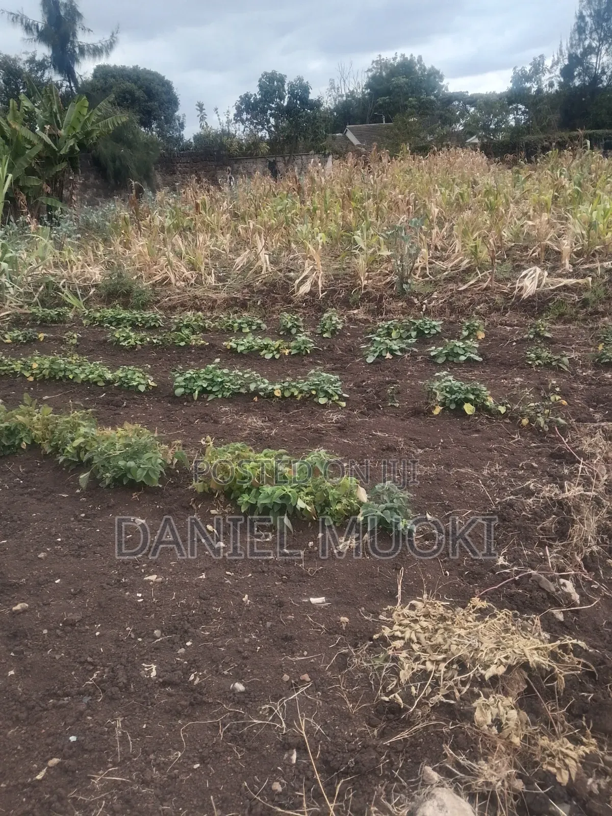 Land on Sale Full Acre