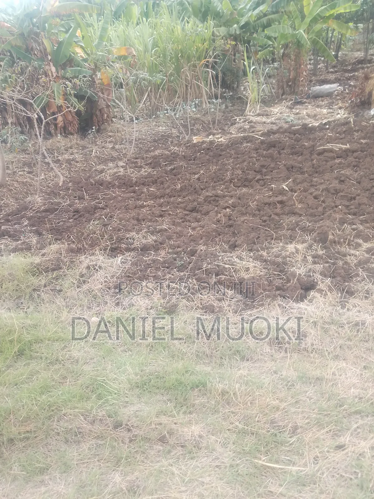 Land on Sale Full Acre