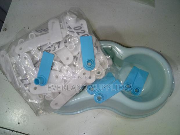 Ear Tags - Character Style - main view