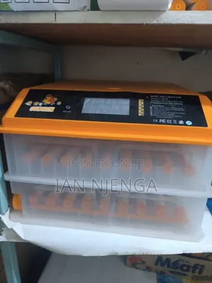 Egg Incubator