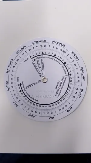 Pregnancy Wheel