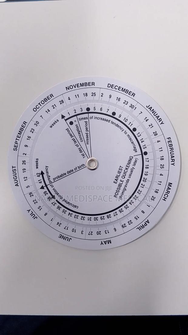Pregnancy Wheel - main view