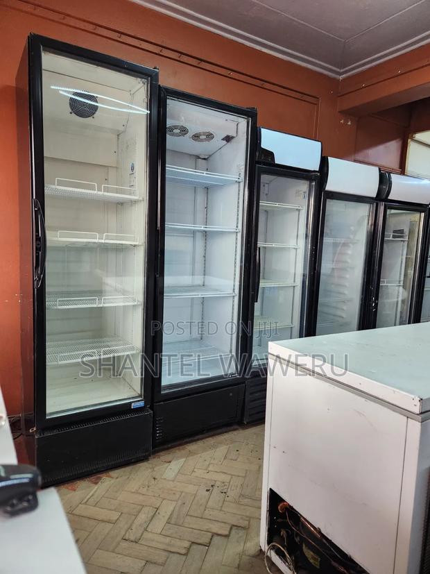 Frigolex Working 500litres Chiller - main view