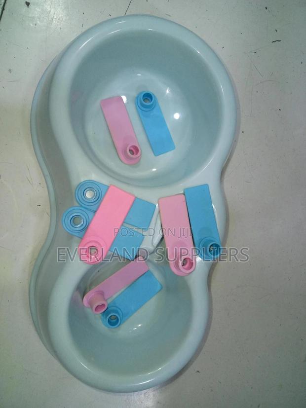 Ear Tags - Visual Checking - main view