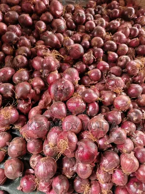 Neptune Onion