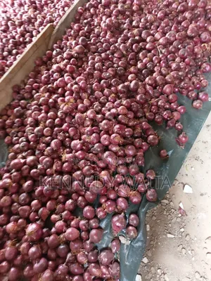 Neptune Onion