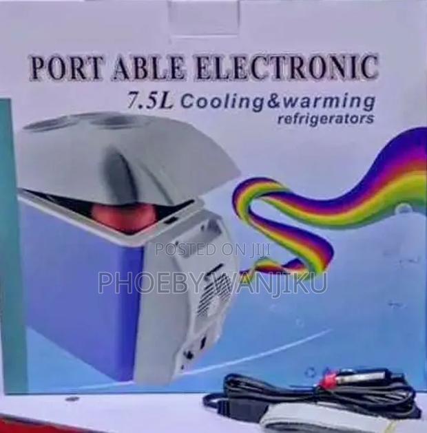 Portable Mini Car Fridge - main view