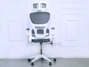 White Modern Mesh Executive Chair.
