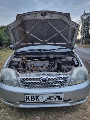 Toyota Corolla 2003 Silver