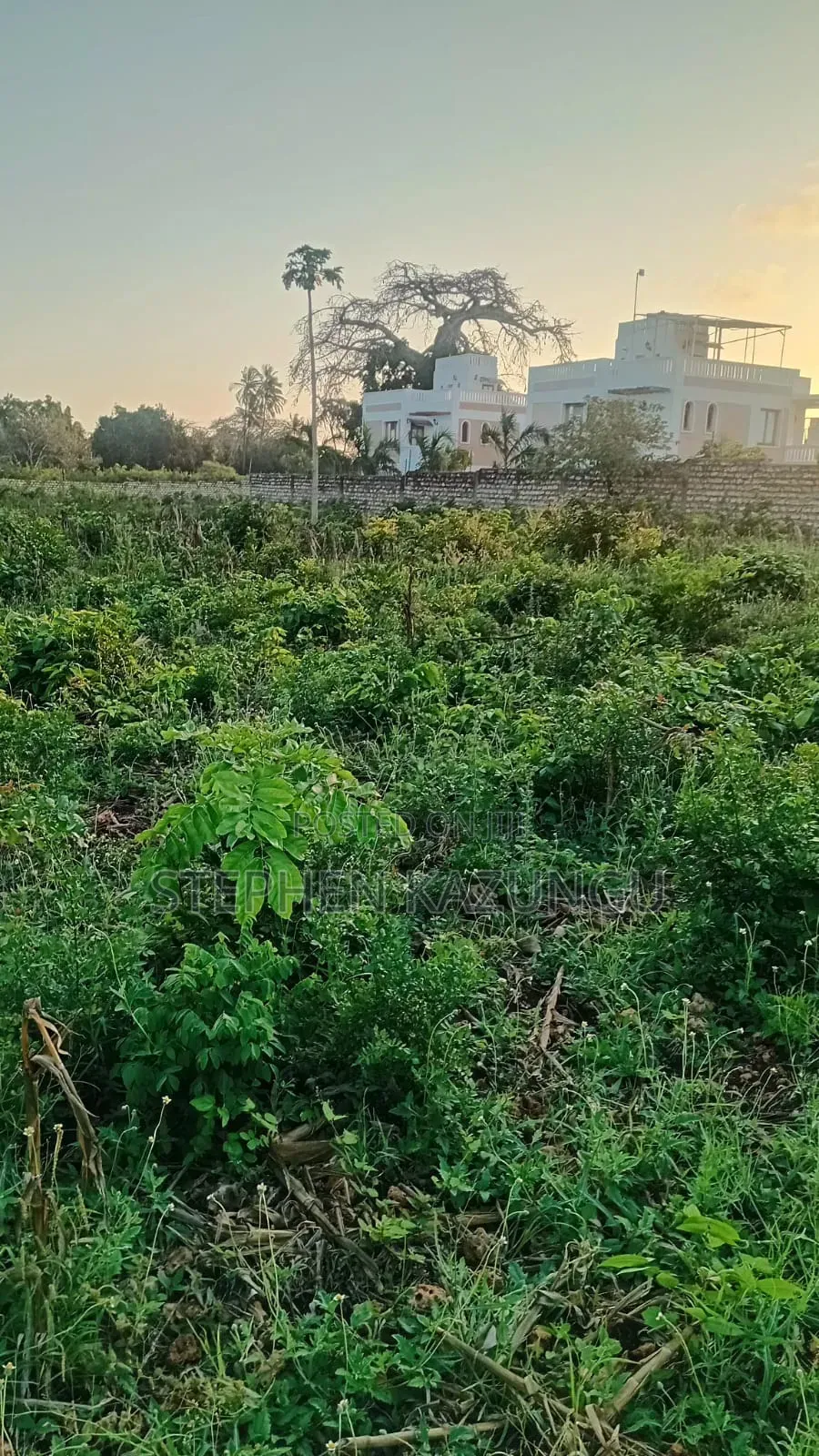 Almost 1 Acre Plot T Galu Beach or 3500 Square Metres in Size on Sale