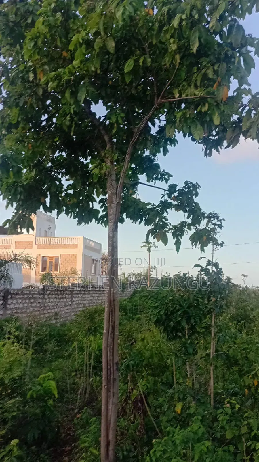Almost 1 Acre Plot T Galu Beach or 3500 Square Metres in Size on Sale
