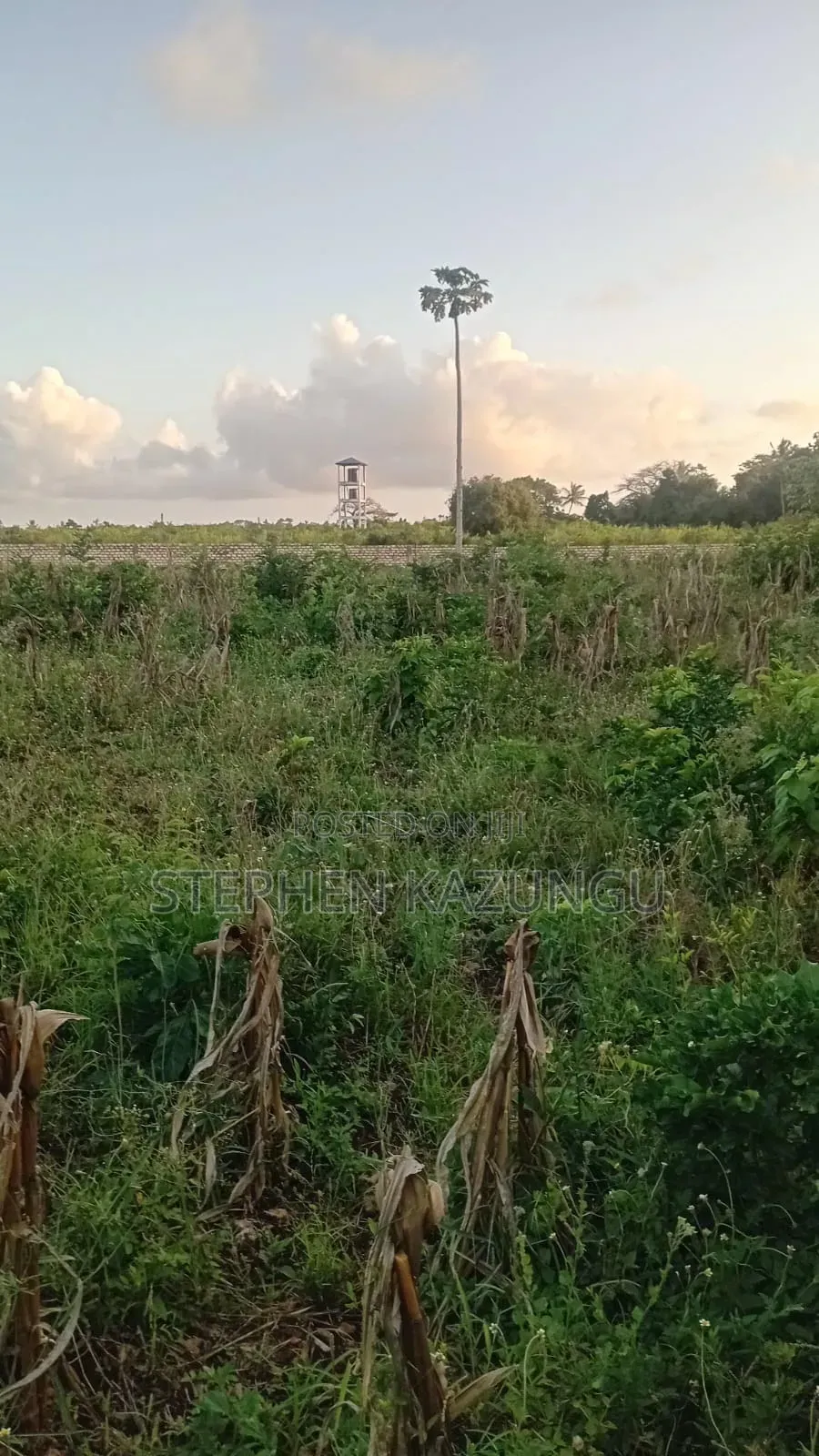 Almost 1 Acre Plot T Galu Beach or 3500 Square Metres in Size on Sale