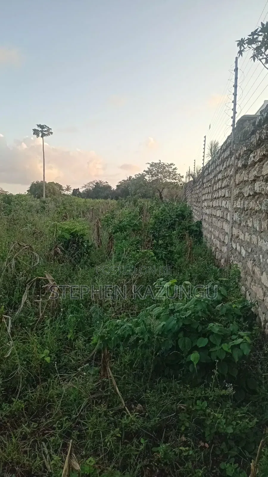 Almost 1 Acre Plot T Galu Beach or 3500 Square Metres in Size on Sale