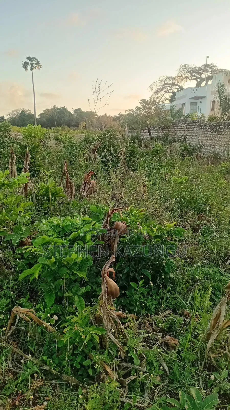 Almost 1 Acre Plot T Galu Beach or 3500 Square Metres in Size on Sale