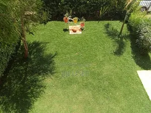 Pemba. Grass
