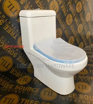 Kids Toilet Available