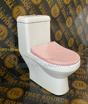 Kids Toilet Available