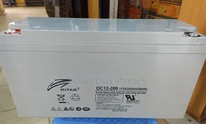 Ritar DC12-200 Battery