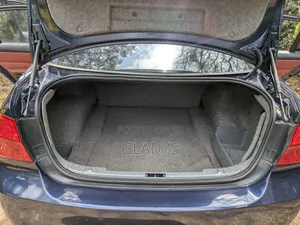 BMW 318i 2011 Blue